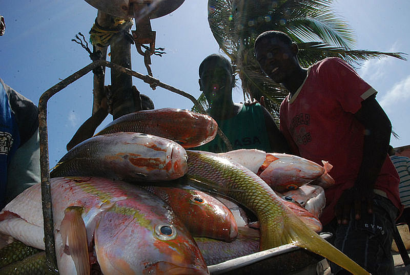 Conocer los recursos pesqueros ayuda a enfrentar el cambio climático