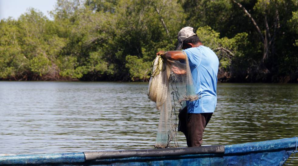 Conocer los recursos pesqueros ayuda a enfrentar el cambio climático