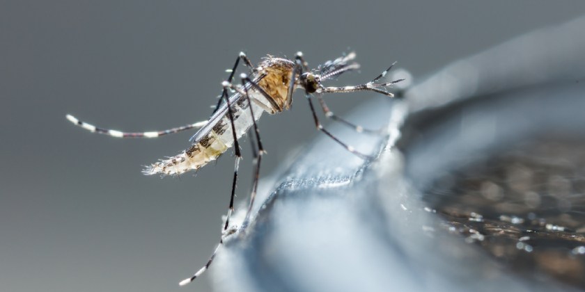 Adelantan campaña contra el dengue en Montería