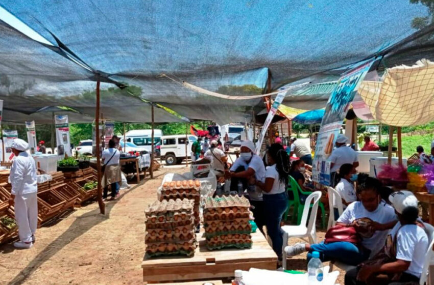  Sigue el apoyo al pequeño productor: Mercados campesinos llegarán a los municipios de Córdoba