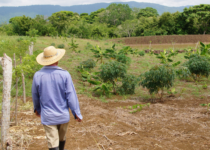  Desigualdad en el reparto de las tierras en Colombia