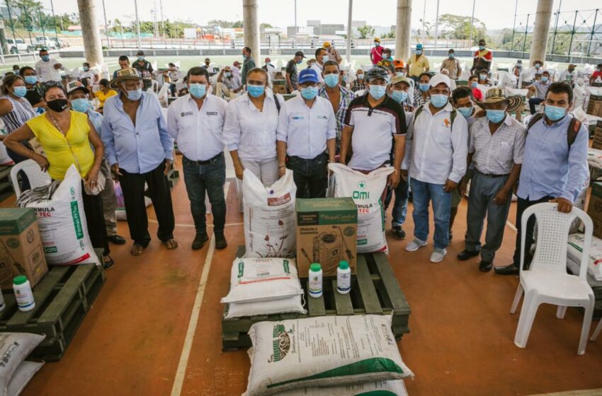  Gobernación apoyó la entrega de insumos a productores de ñame en Ciénaga Oro