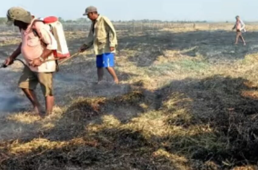 Voraz incendio acabó con cultivo de patilla en Chimá