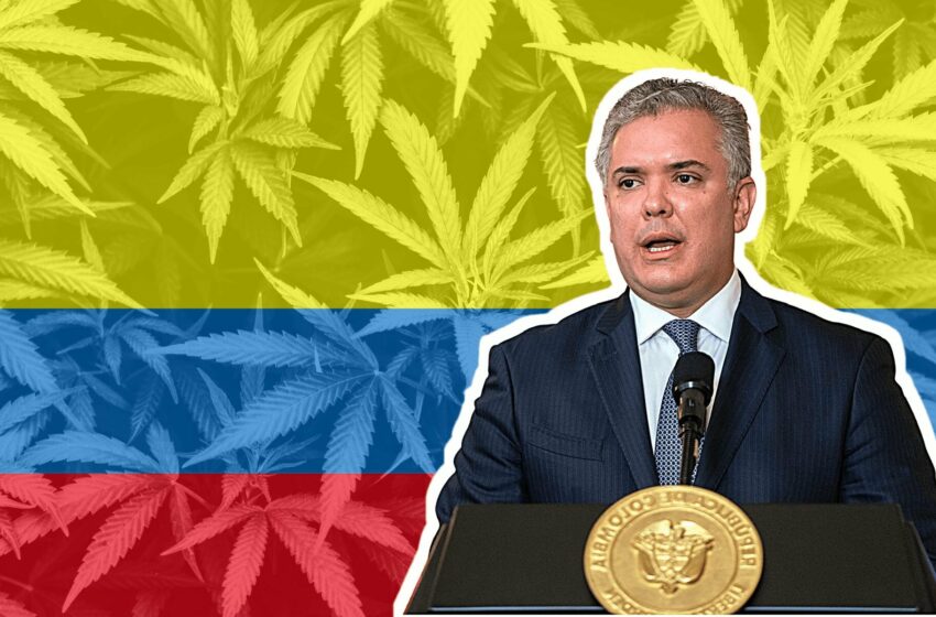  Colombia ya podrá usar la marihuana de forma industrial
