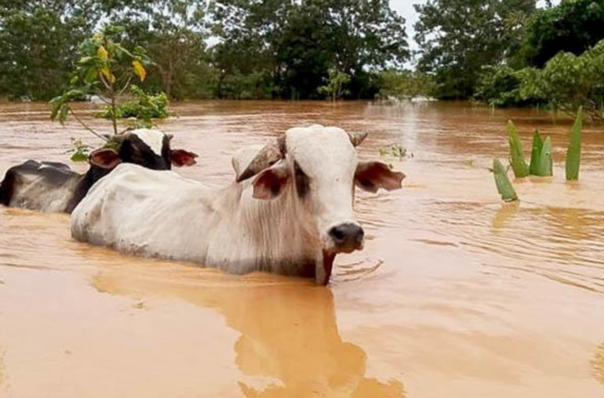  Procuraduría requirió a la UNGRD, plan de acción para atender inundaciones por fenómeno de La Niña