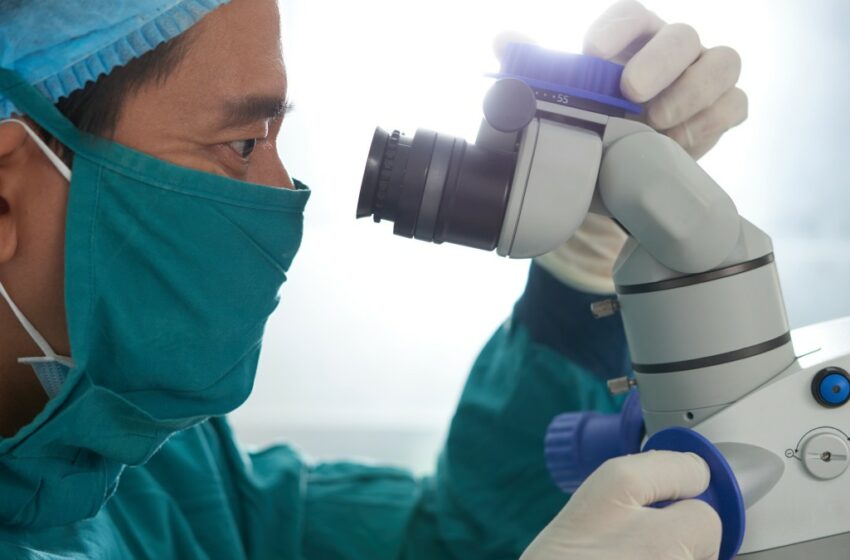  Detectan 35 casos en humanos de un nuevo virus de origen animal