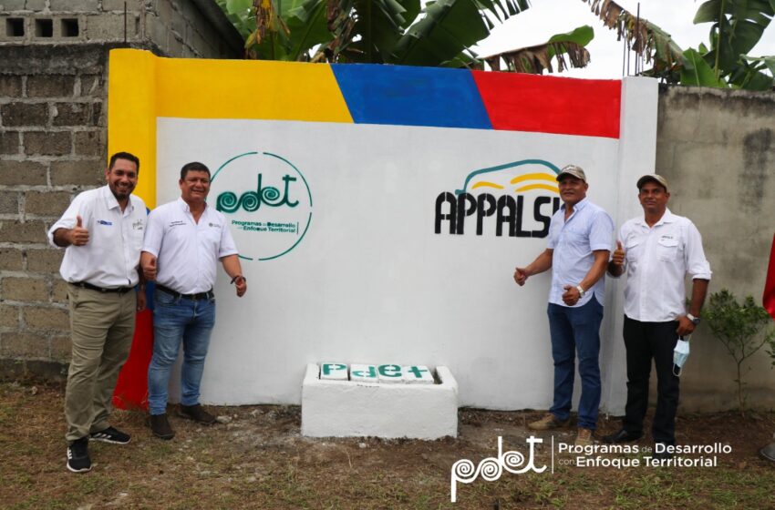  Inicia construcción de centro de acopio de papaya en Valencia