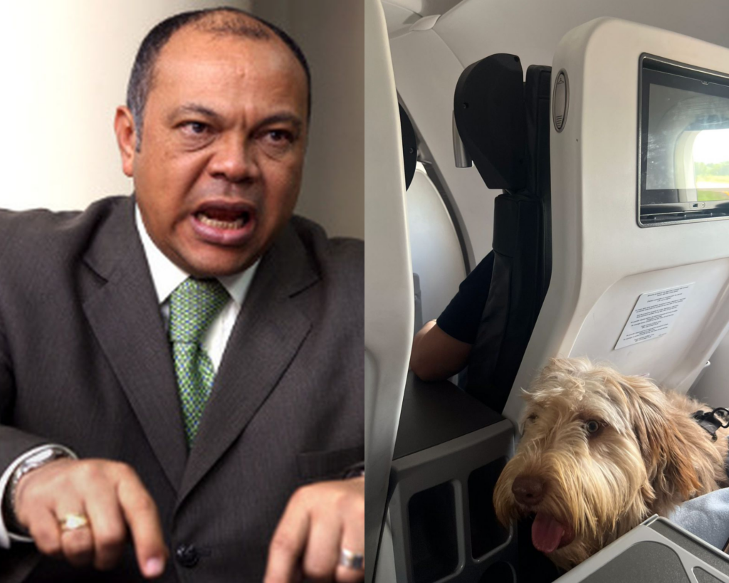 Papá de Colmenares se molestó porque le tocó viajar junto a un perro en avión