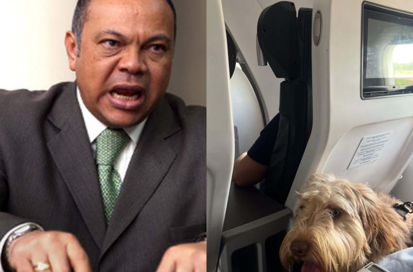  Papá de Colmenares se molestó porque le tocó viajar junto a un perro en avión