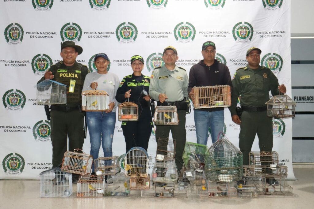 Policía adelanta planes de control por la biodiversidad en Montería