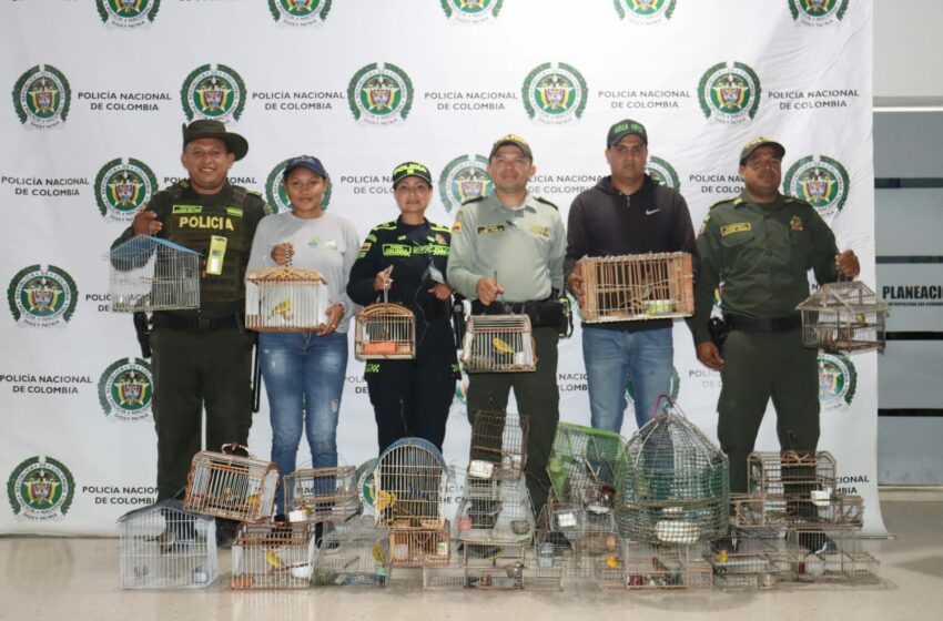 Policía adelanta planes de control por la biodiversidad en Montería