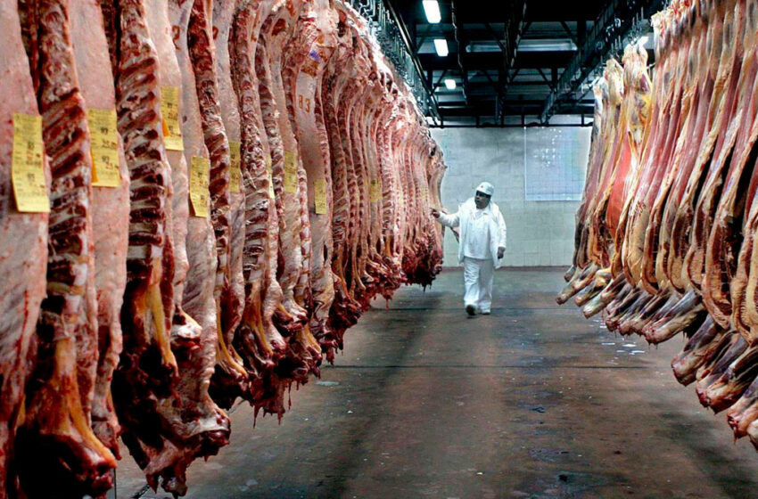Estado no está para administrar mataderos: Asociación de Frigoríficos
