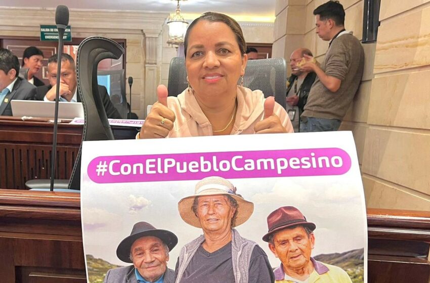  Representante Leonor Palencia aprueba en primer debate proyecto que dignifica la vida de los campesinos