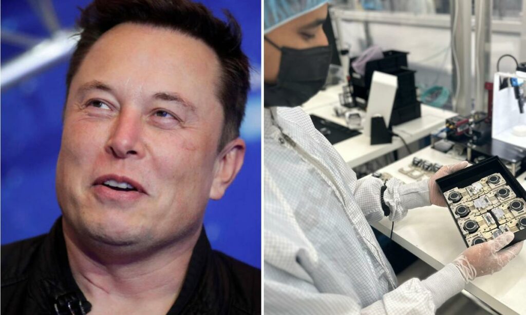 Elon Musk recibe permiso para implantar chip en cerebros de humanos con Neuralink