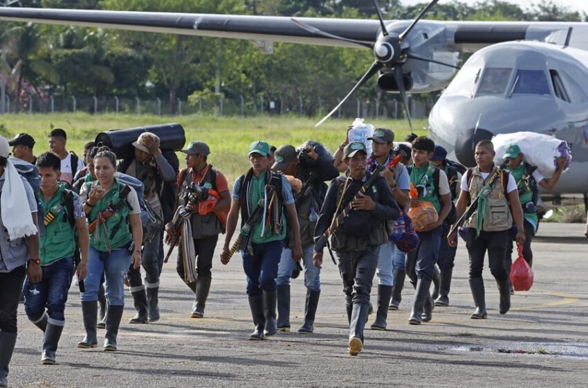  Niños perdidos en la selva: 14 indígenas dejaron operativo de búsqueda tras enfermarse