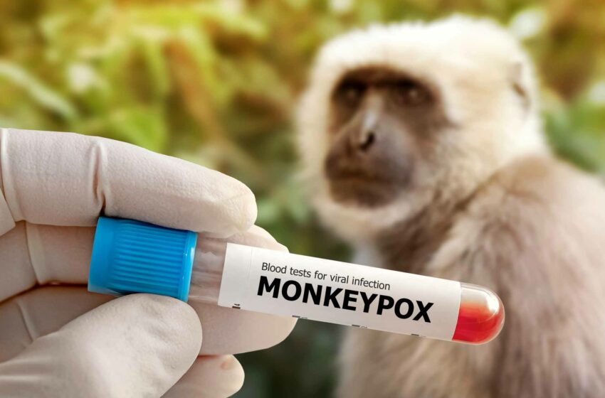 OMS levanta la alerta máxima mundial por brote de Mpox ('viruela del mono')