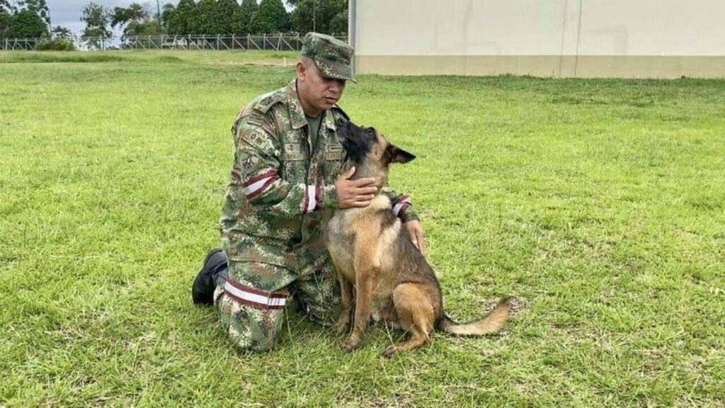 La lucha del guía de Wilson: sigue internado en la selva buscando a su perro