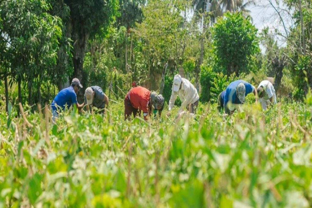 Gobierno da nuevo impulso para acelerar la reforma agraria