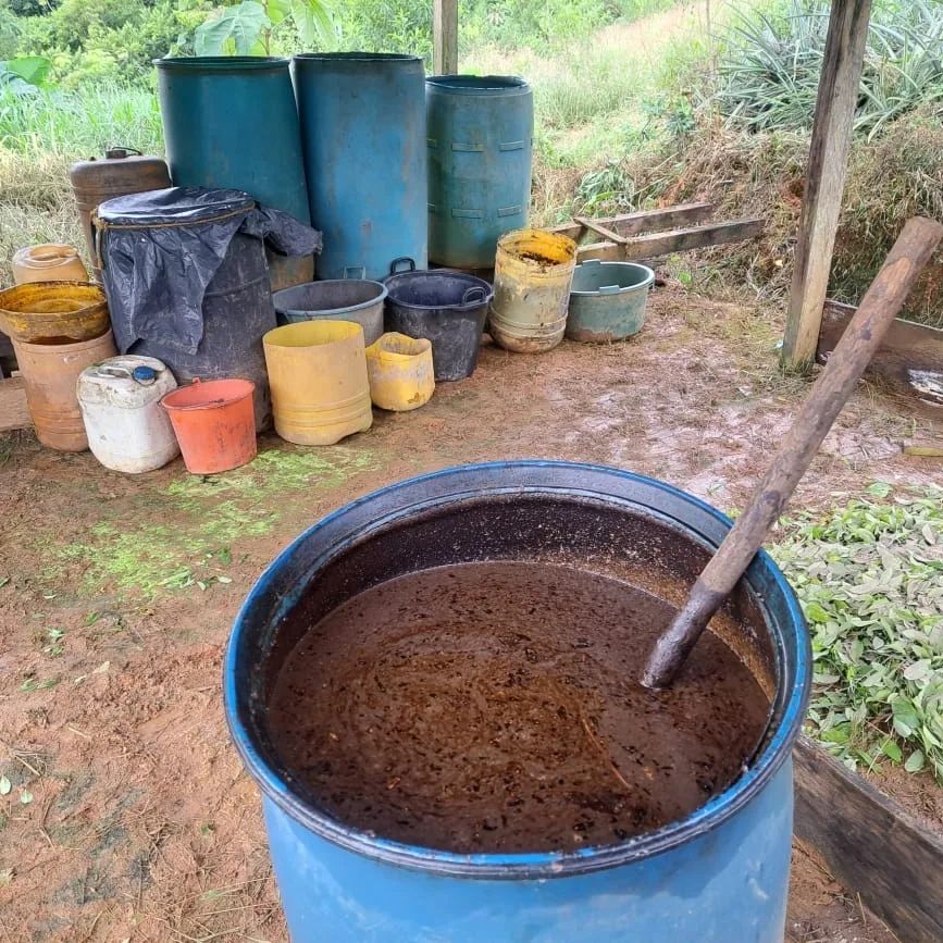 Ejército Nacional destruyó 7 laboratorios de coca al Clan del Golfo