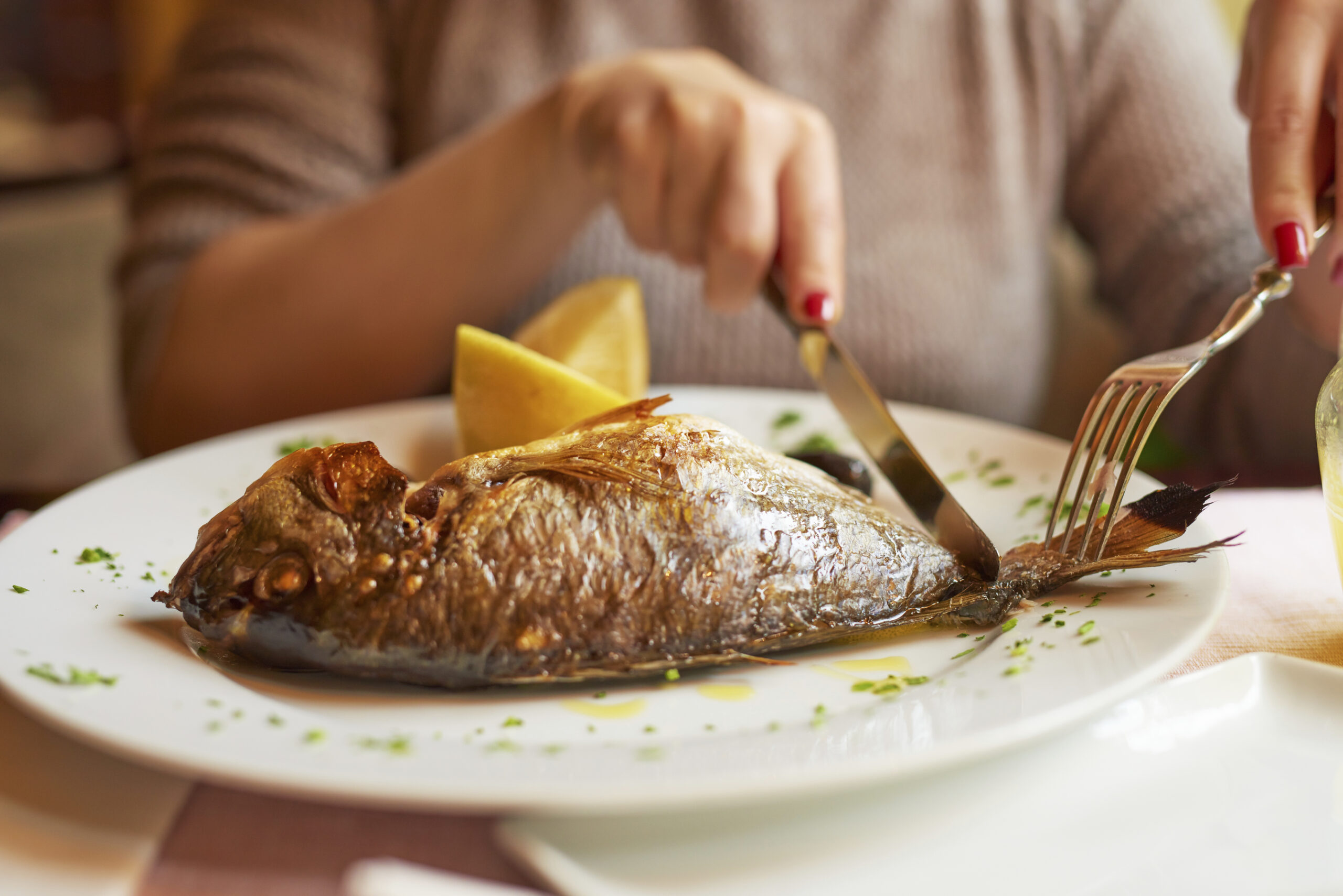 El Consumo de Pescado y sus Beneficios Según la Universidad de Harvard