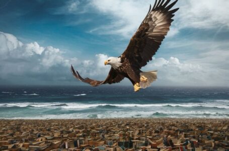 El Vuelo del Águila: Alberto Hernández y las Maravillas del Realismo Mágico
