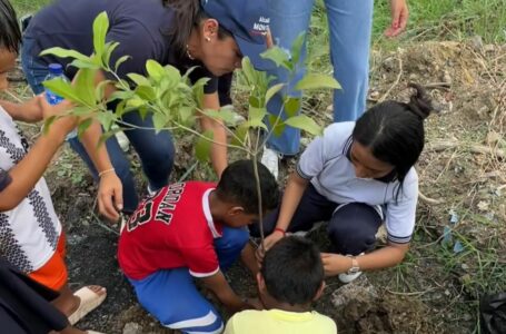 “Sembrando vidas”: los niños de Montería celebran el Día de la Tierra sembrando árboles
