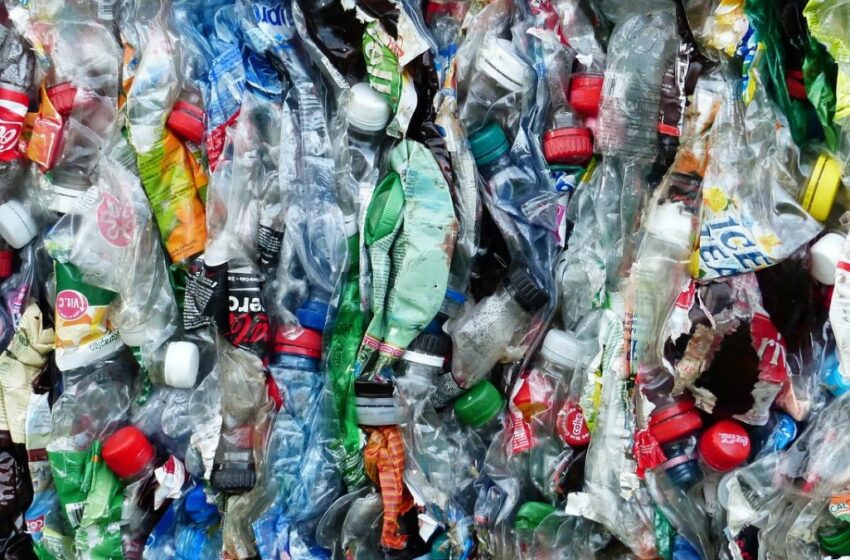  Producción de plásticos de un solo uso ya tiene fecha de prohibición: ¿cuándo y cuáles son?