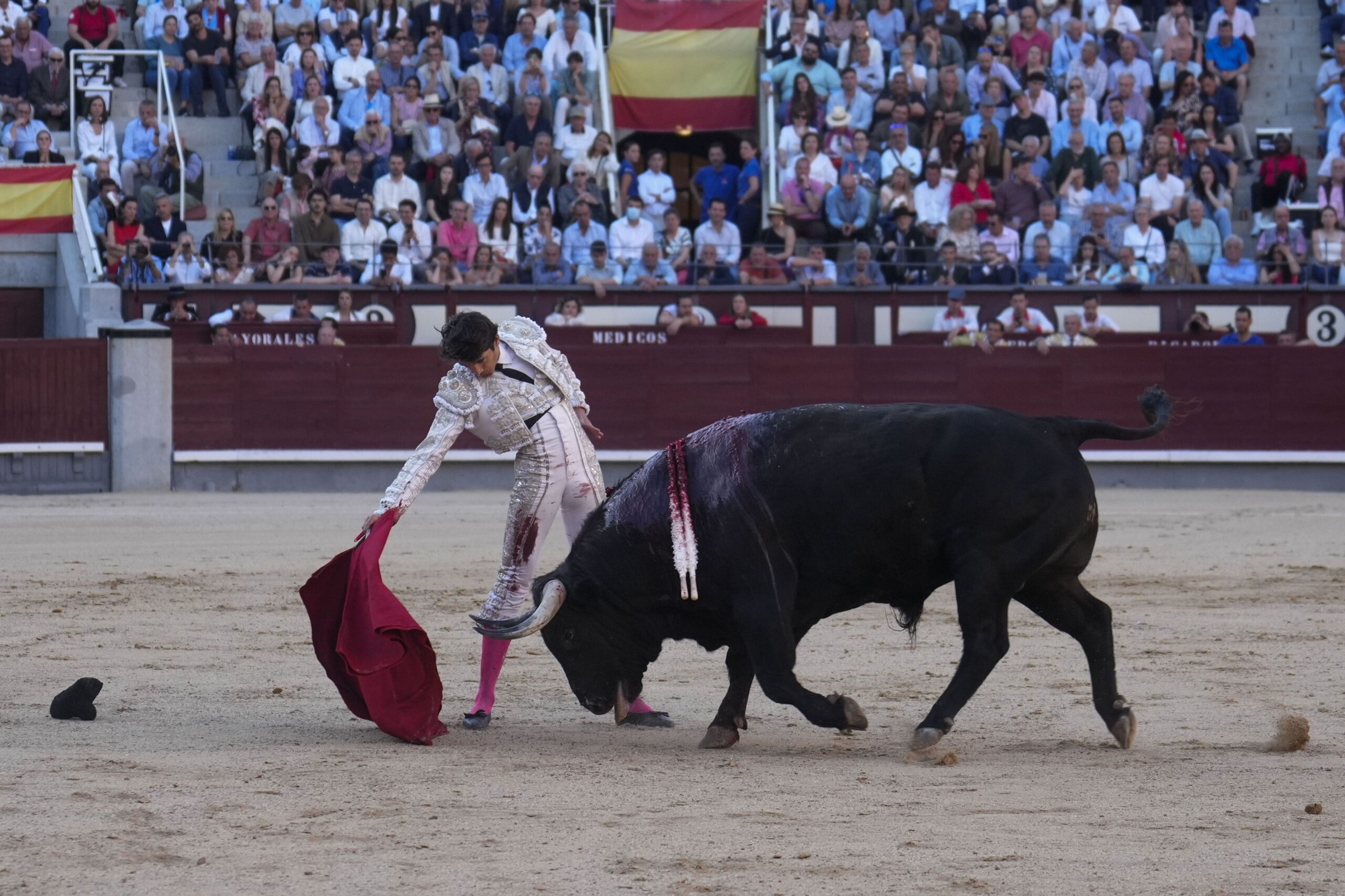 Las corridas de toros son prohibidas en Colombia: ¡Es un hecho!