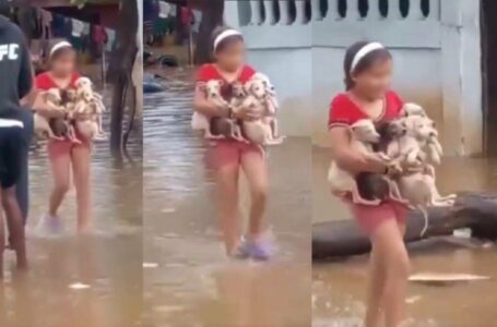 Niña salvó a 4 perritos de morir ahogados durante inundaciones en Venezuela