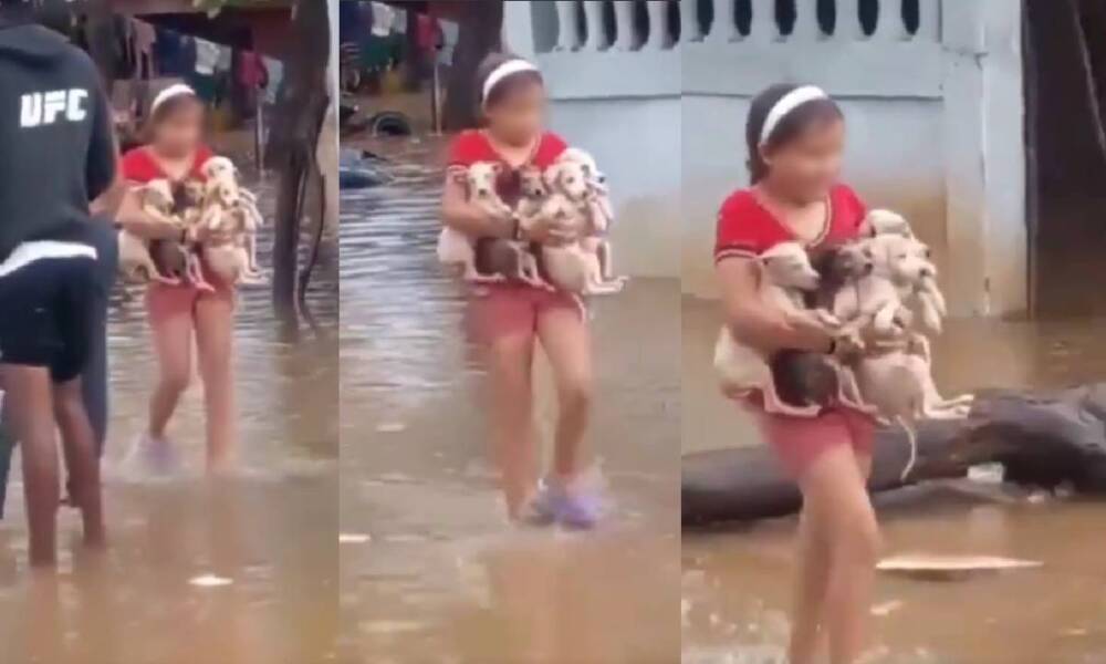 Niña salvó a 4 perritos de morir ahogados durante inundaciones en Venezuela