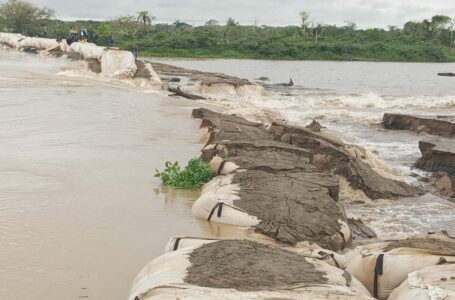 El río Cauca se llevó las barreras en cara de gato y se inunda La Mojana