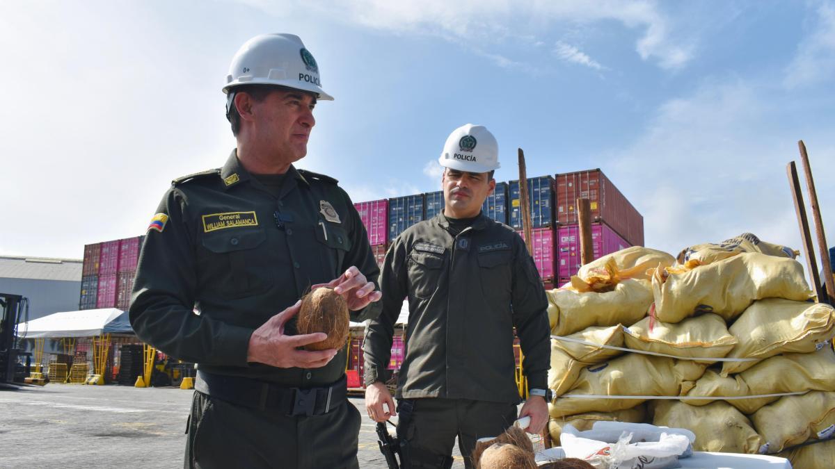 'Narcococos', la nueva modalidad de los narcos para ocultar cocaína; cayó carga en Cartagena