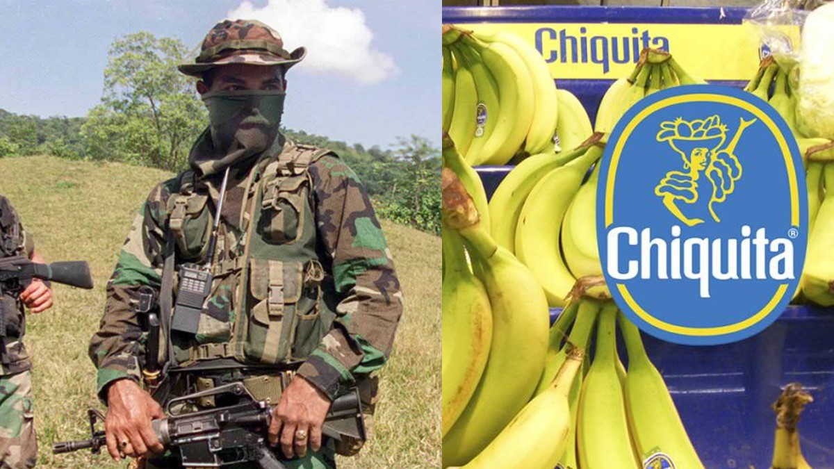 Empresa Chiquita Brands fue hallada culpable de financiar paramilitares en  Colombia - Zenu Digital