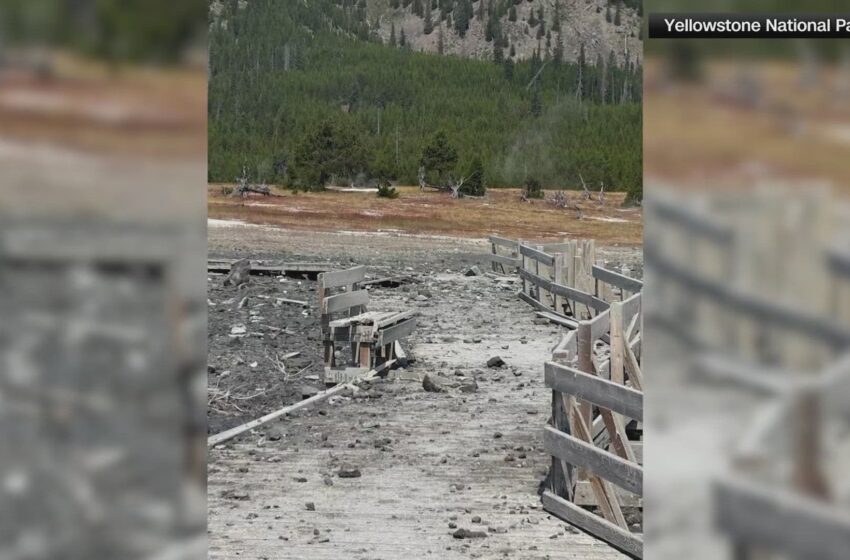  Alerta en Yellowstone por explosión hidrotermal: ¿es común que sucedan?