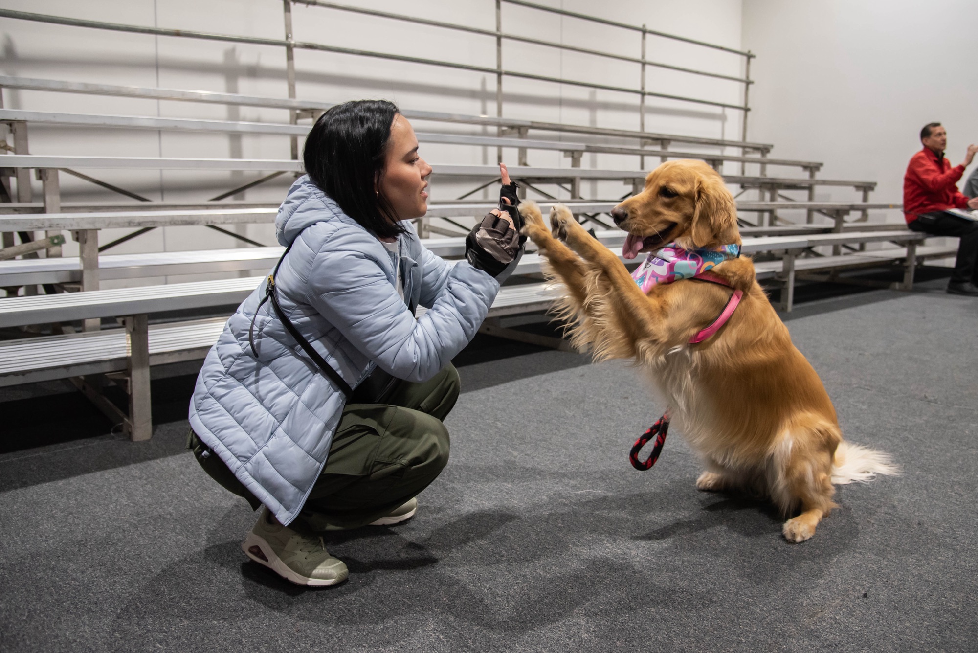 Expopet 2024: un escenario para celebrar el talento y la lealtad canina