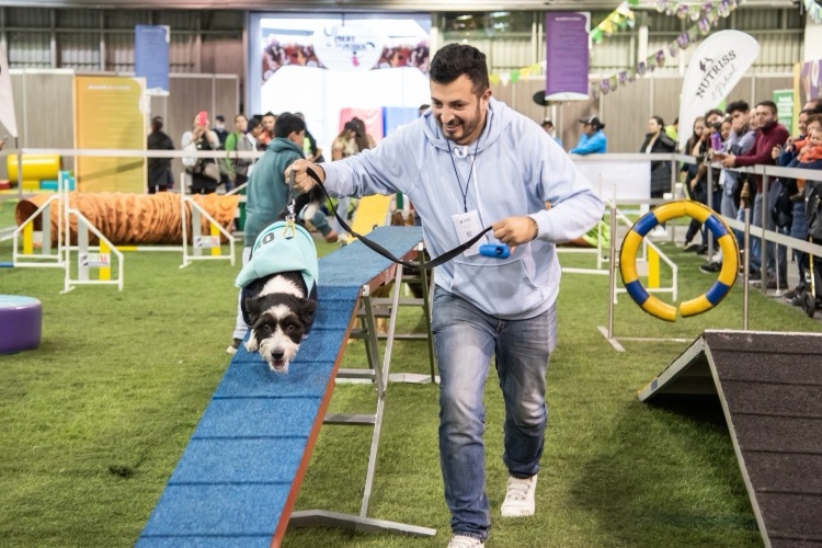 Expopet 2024: un escenario para celebrar el talento y la lealtad canina