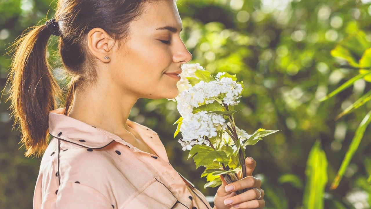 ¡El poder del olfato! Así es como los olores influyen en la salud de las personas