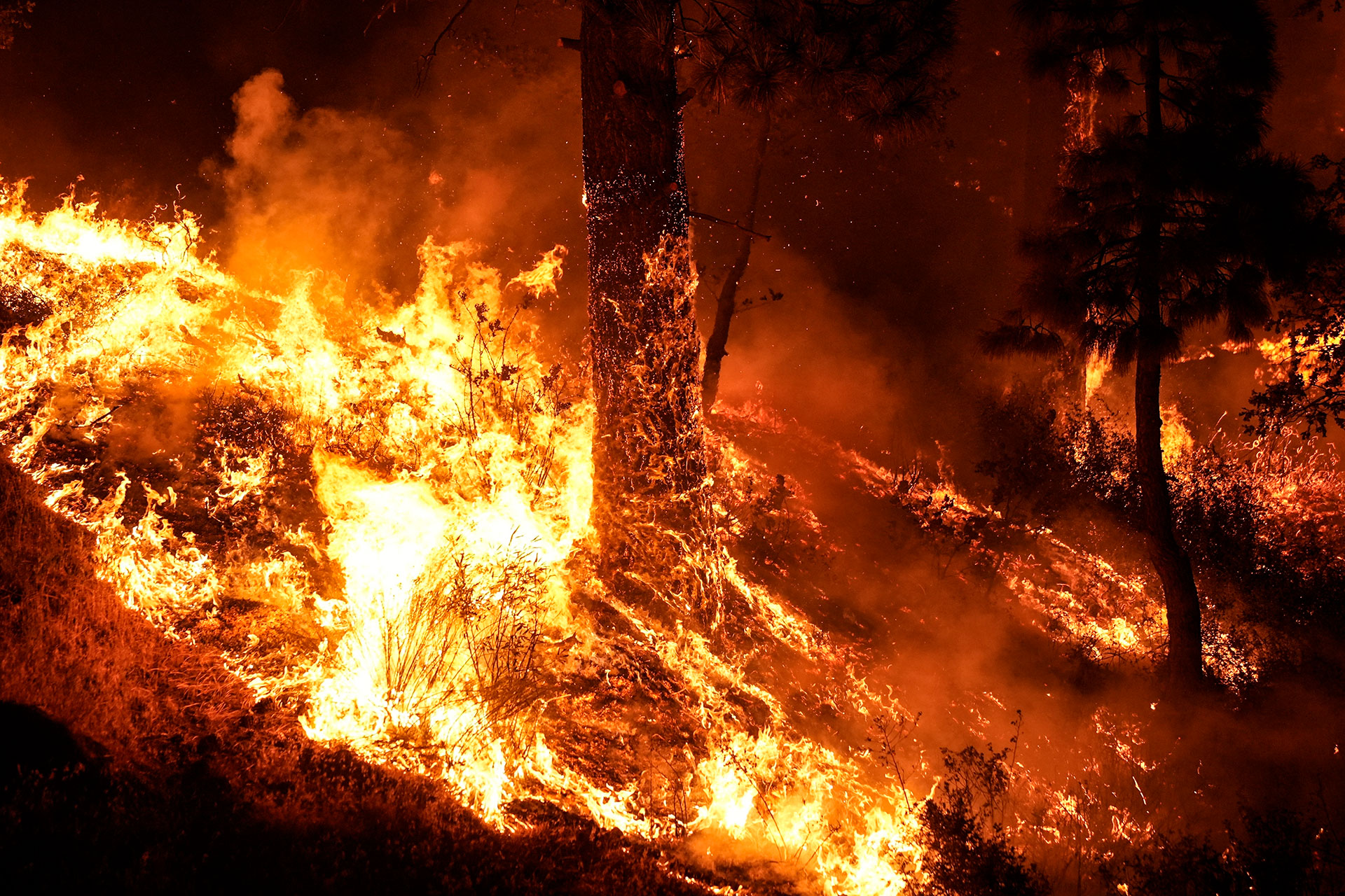 Incendios descontrolados han arrasado con más de 12 mil hectáreas en Tolima, Huila, Nariño y Cundinamarca