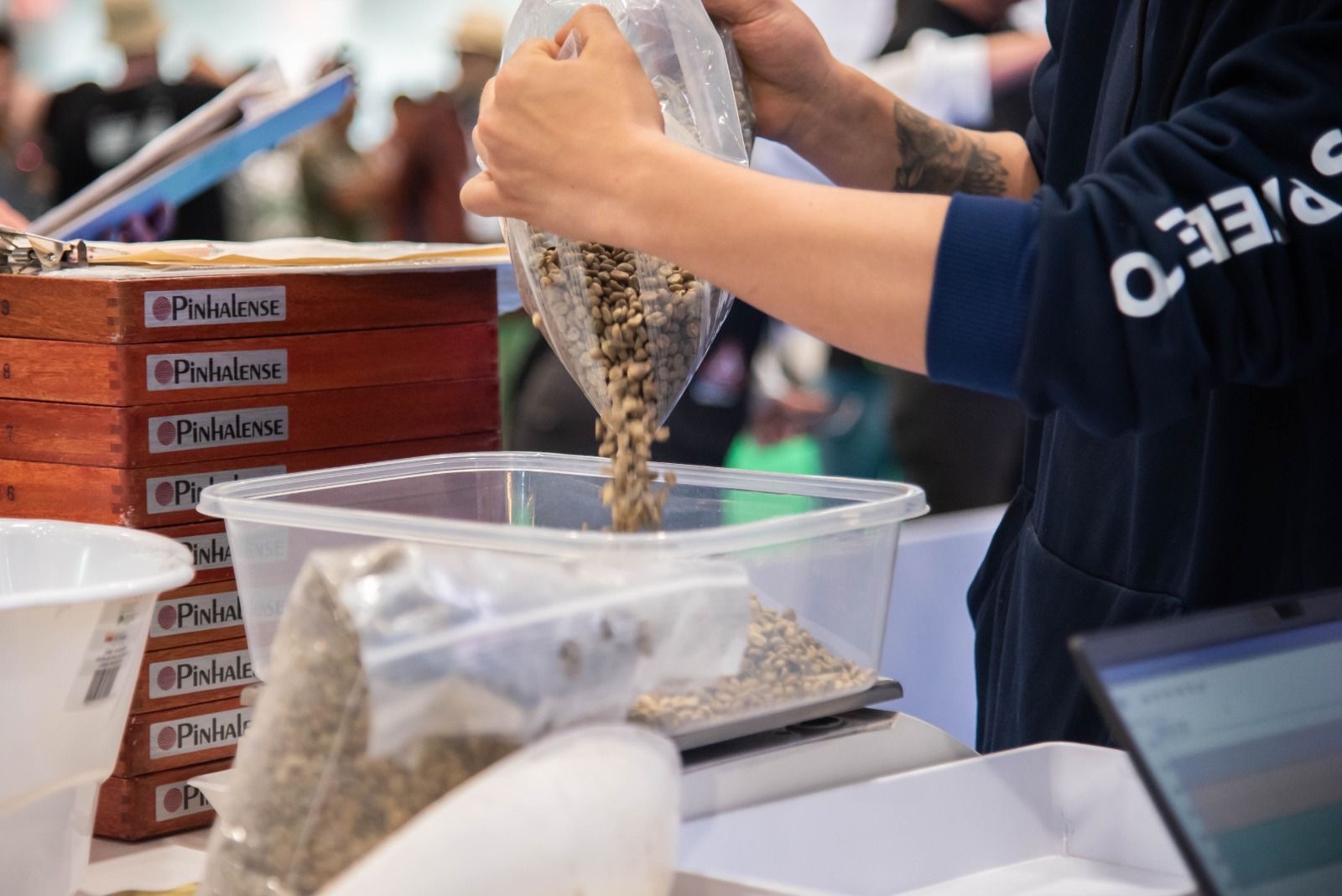 Campeonatos de Baristas y Tostadores en Cafés de Colombia Expo: Impulsando la Cultura del Café Especial