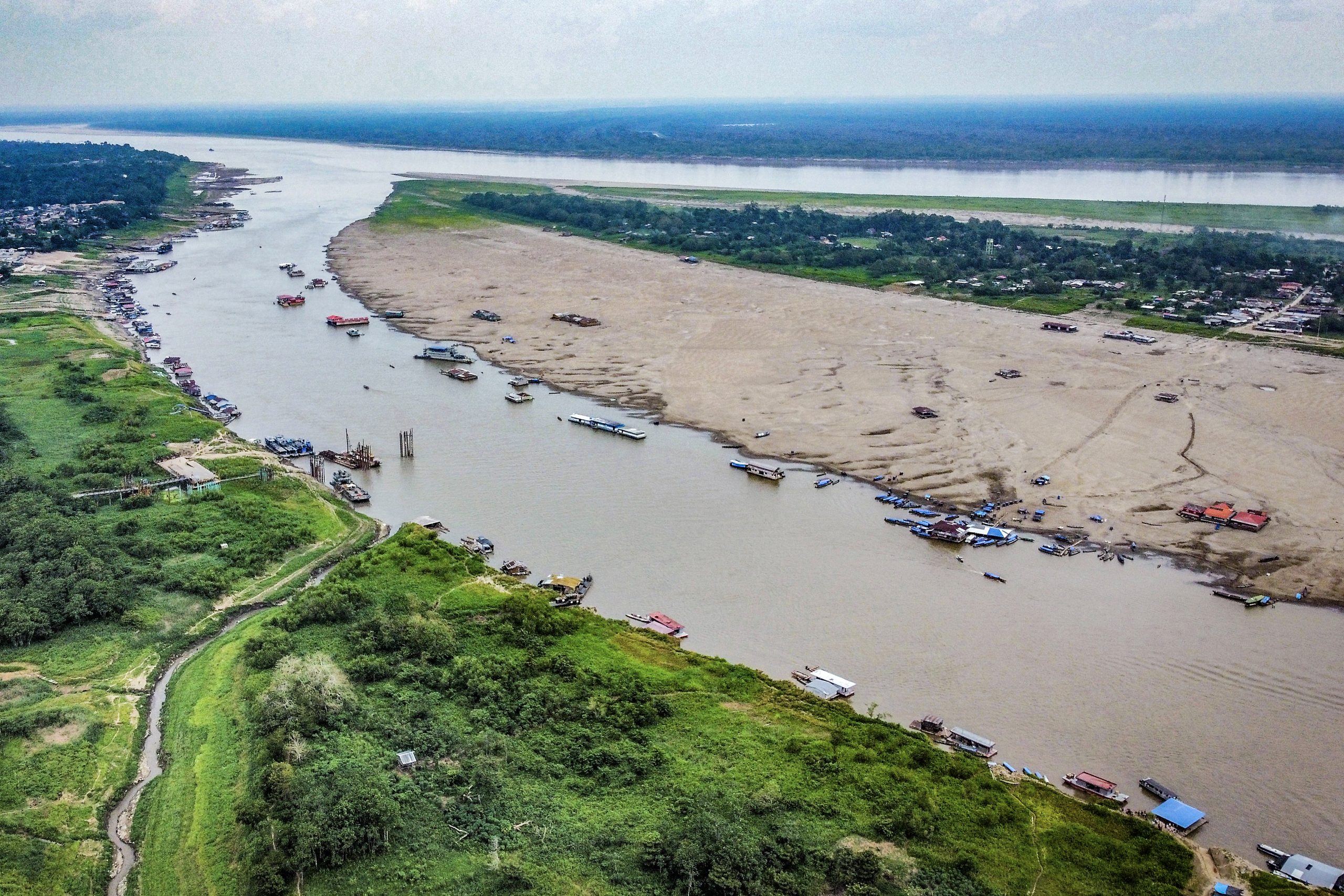 Sequía en el río Amazonas: crisis de suministro de agua, transporte y muerte de delfines