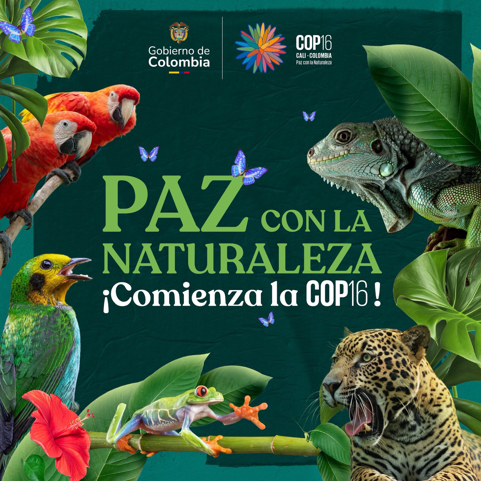 COP16 histórica: Con un gran acto inaugural Colombia recibe al mundo